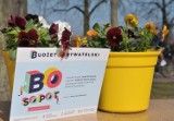 Budżet Obywatelski w Sopocie – zagłosuj na projekty zgłoszone przez mieszkańców