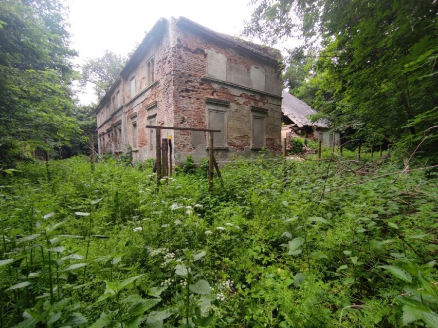 Zobaczcie, jak wyglądają dziś ruiny dworu w Będzitowie....