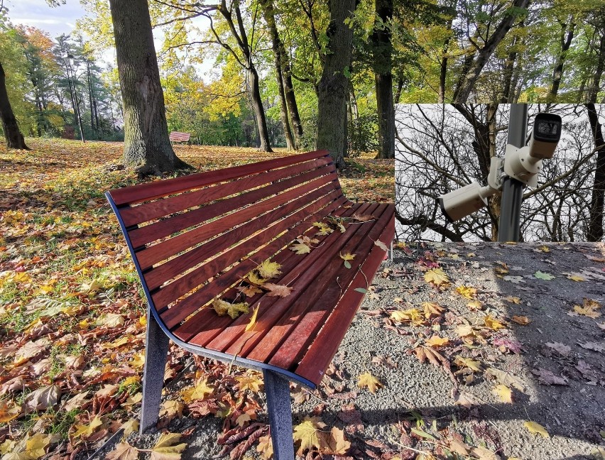 Park w Kościelcu w Chrzanowie