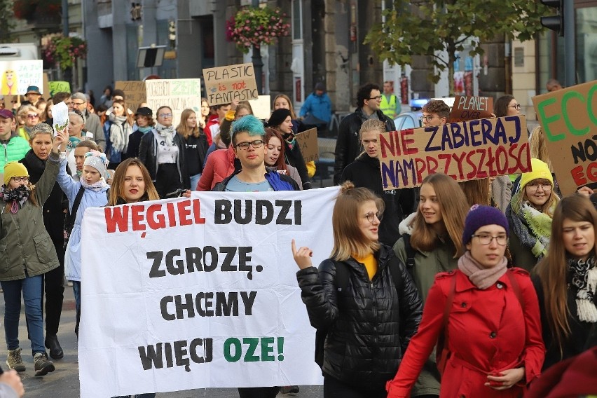 Strajk dla ziemi w Łodzi przybierze formę demonstracji...