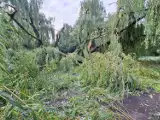 Burza szalała nad Łodzią. Potężna ulewa i wichura spowodowała setki zniszczeń. Przez spore rozlewiska kierowcy utknęli w korkach