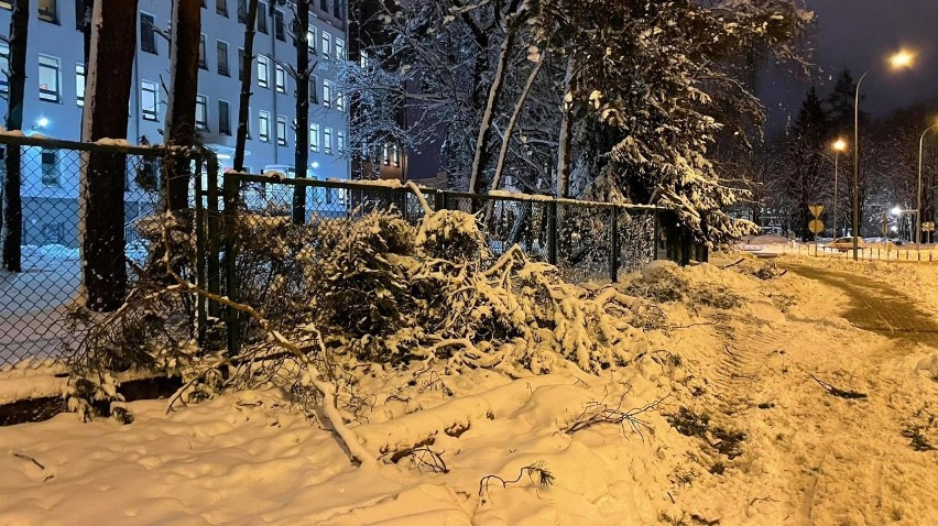 Połamane gałęzie przy placu Katyńskim obok białostockiej...