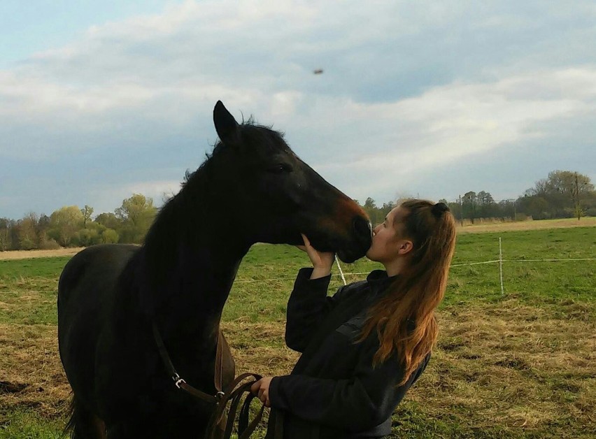 18-letnią Laurę koń kopnął w twarz. Czeka ją bolesne leczenie i kosztowna rehabilitacja.I Ty możesz jej pomóc 
