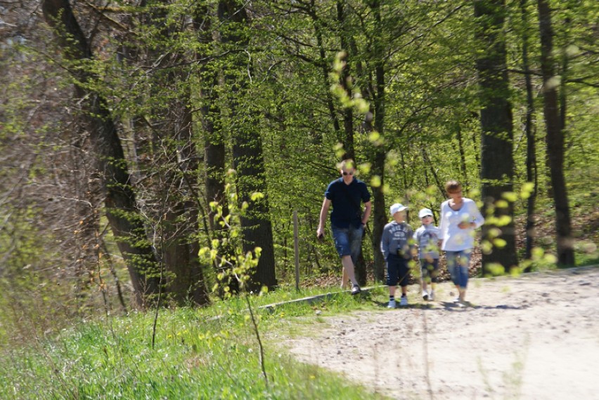 Długi weekend w Ustce i Dolinie Charlotty