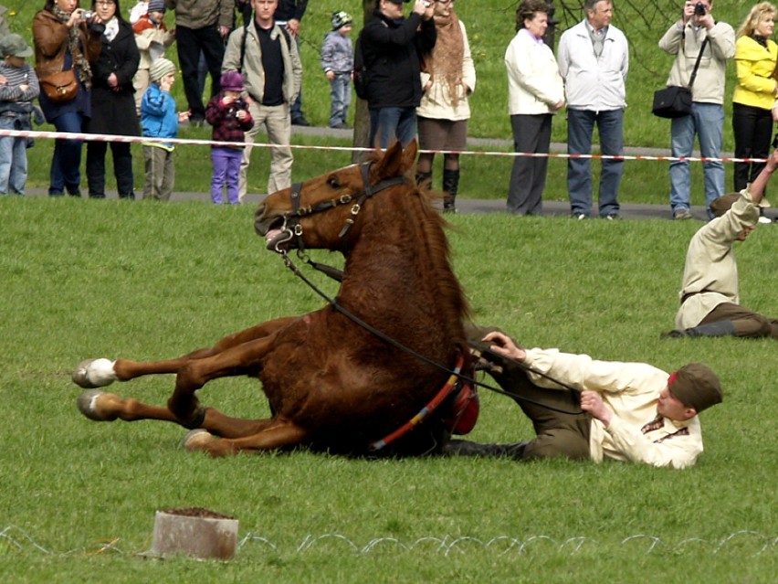 Dni Ułana 2011 - Cytadela pełna koni (zdjęcia)