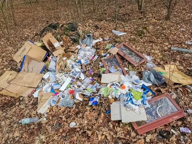 W lesie, w Trzebielu, niedaleko Żar znaleziono wyrzucone śmieci