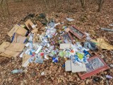 Kobieta dostała mandat za wyrzucenie śmieci do lasu. Czy to będzie nauczka na przyszłość?