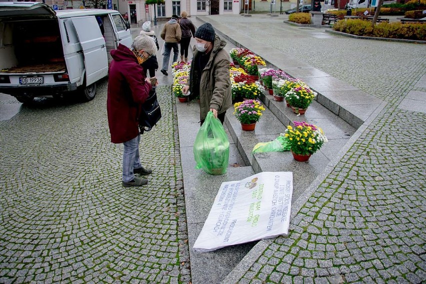 Wałbrzych: Mieszkańcy miasta wspierają producentów chryzantem 