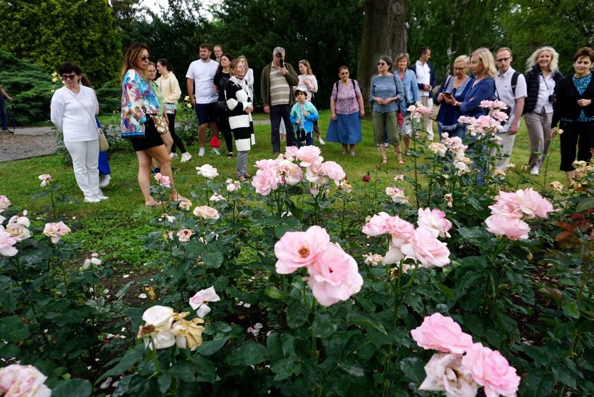 "Nazwy róż i historie ich powstawania" - pouczający spacer po Ogrodzie Botanicznym UMCS [ZOBACZ ZDJĘCIA]