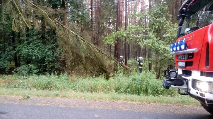 Strażacy usuwali powalone drzewa na drogach (FOTO)