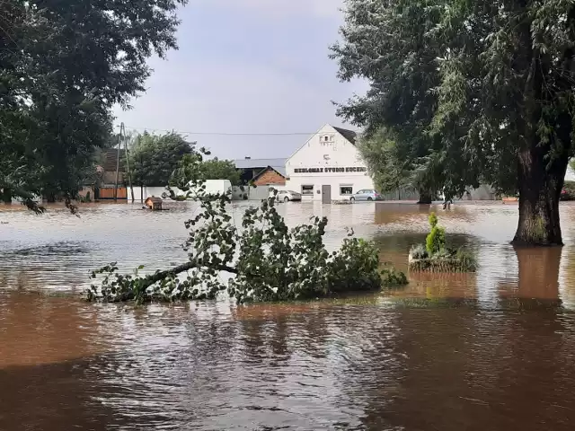 Staw w centrum Wawrowa zrównał się z chodnikiem...