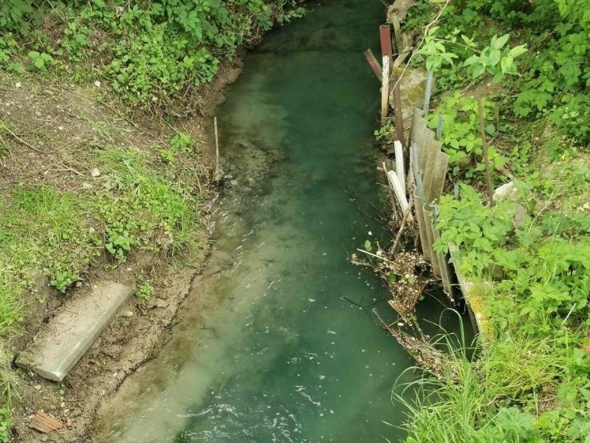 W Michałowicach wykryto zanieczyszczenia wody w potoku