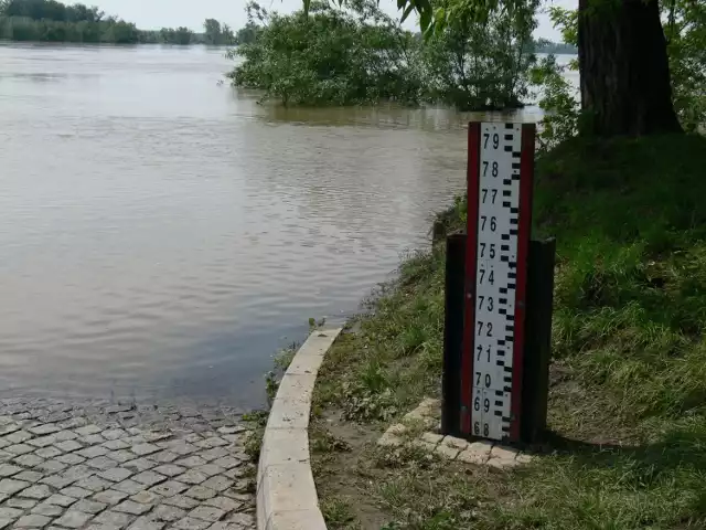 W poniedziałek, przed południem stan wody na Wiśle w Sandomierzu wynosił 658 centymetrów. Tendencja jest spadkowa