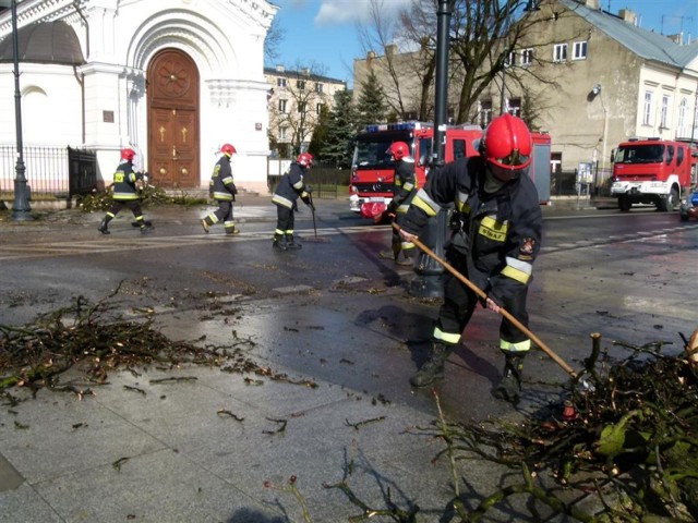 Strażacy usuwali z jezdni drzewo, które przewróciło się na ul. Słowackiego