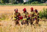 Gm. Nowy Staw. Wypadek samochodu osobowego w Brzózkach. Troje rannych, przyleciał śmigłowiec LPR