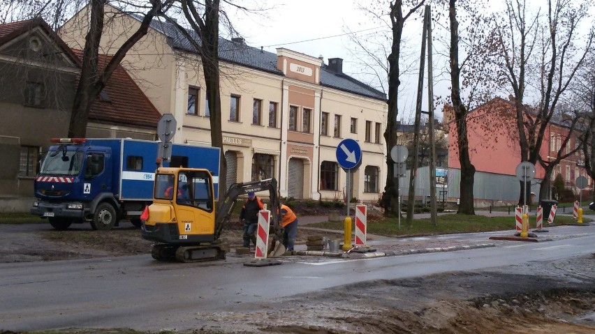 Częstochowa: 70-letnie lipy ścięte na ul. św. Kazimierza. Czy to było konieczne? [ZDJĘCIA]