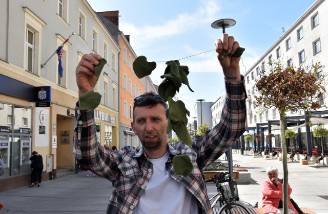 Opolski Alarm Smogowy powiesił liście na drzewach na ul. Krakowskiej w Opolu