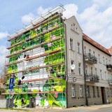 Nowy mural w Rybniku - jest ekologiczny! Farba wykorzystana do jego namalowania pochłania smog
