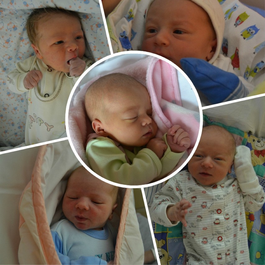 Kwidzyńskie noworodki. Dzieci urodzone w styczniu 2015 roku [ZDJĘCIA]