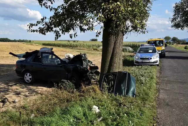 Śmiertelny w skutkach wypadek na lokalnej drodze z Mietkowa do Kostomłotów
