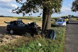Tragiczny wypadek pod Wrocławiem. Auto roztrzaskało się na drzewie. Zobacz zdjęcia! 