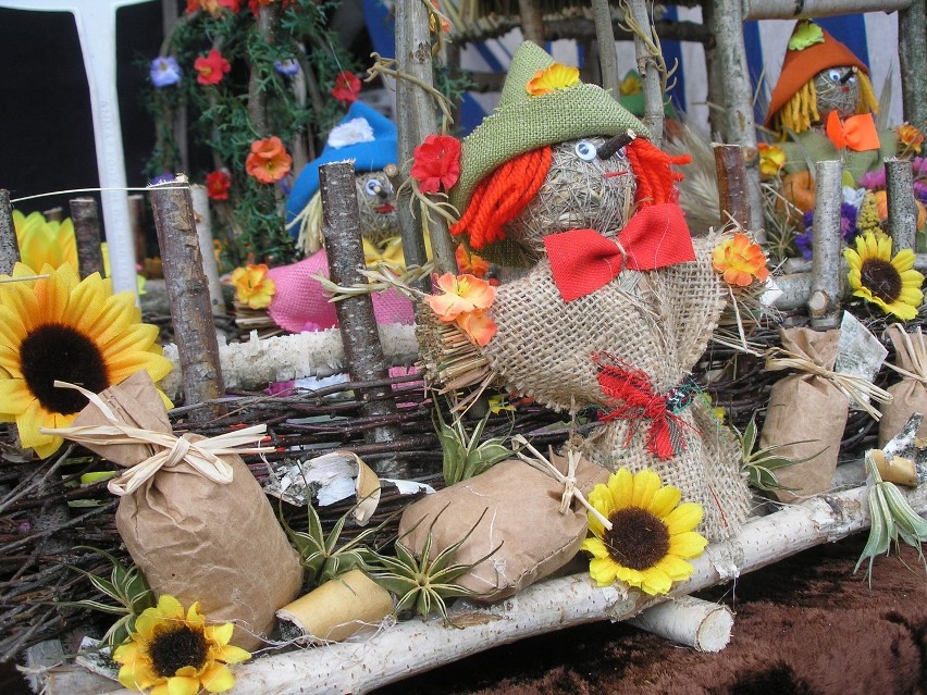 Piknik ekologiczny w Dworku Drzewiarza w Gościcinie