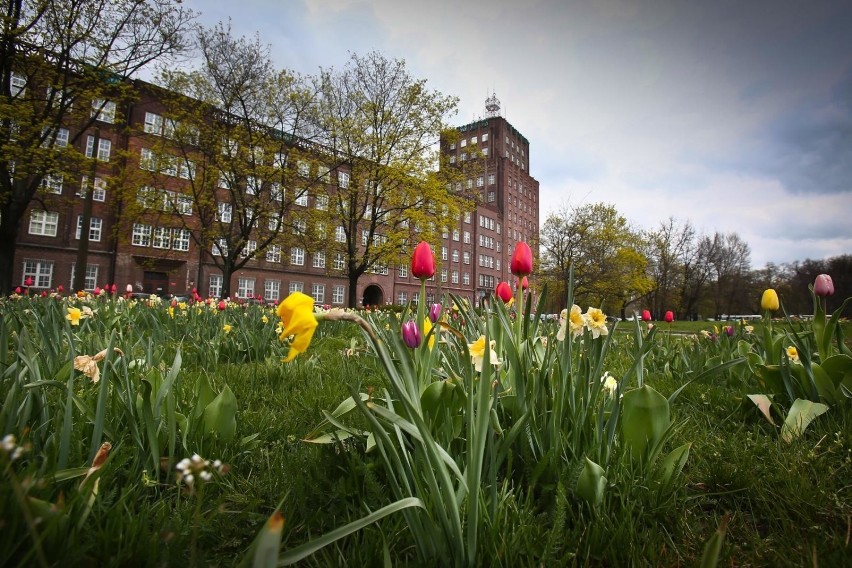 Trzecie miejsce zajmują ex aequo Wrocław (na zdjęciu)  i...