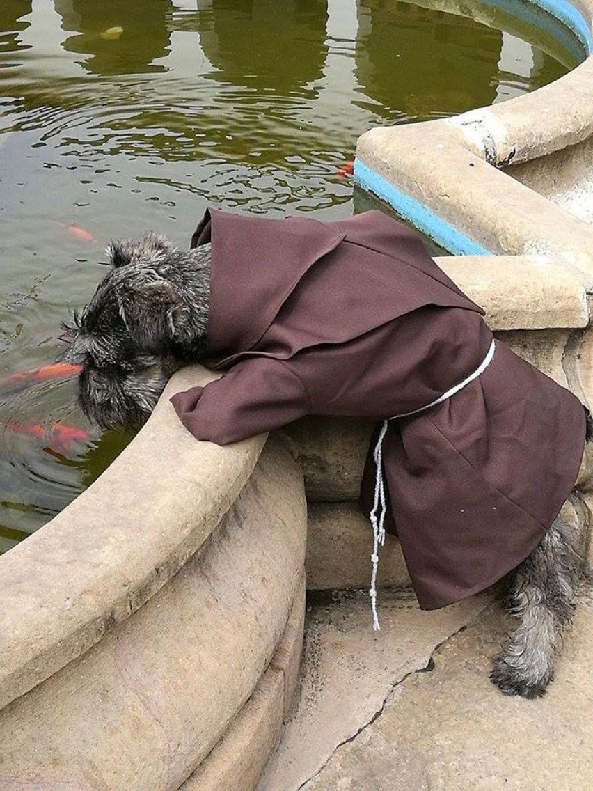 Oto klasztor franciszkanów w Boliwii, który przyjął BARDZO...