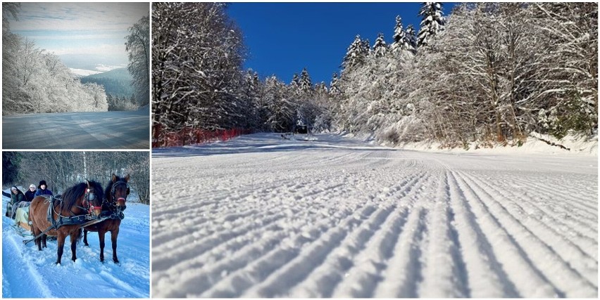 W piątek rusza stacja  narciarska na Magurze, w sobotę wyciąg w Małastowie. Stadniny i stajnie z Izb i Gładyszowa organizują już kuligi