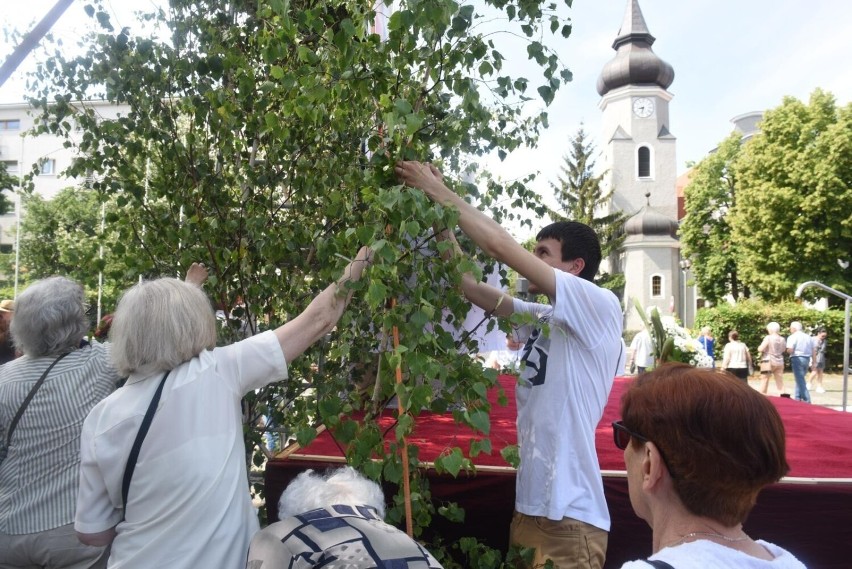 Ołtarze są dekorowane brzozowymi drzewkami, z których...