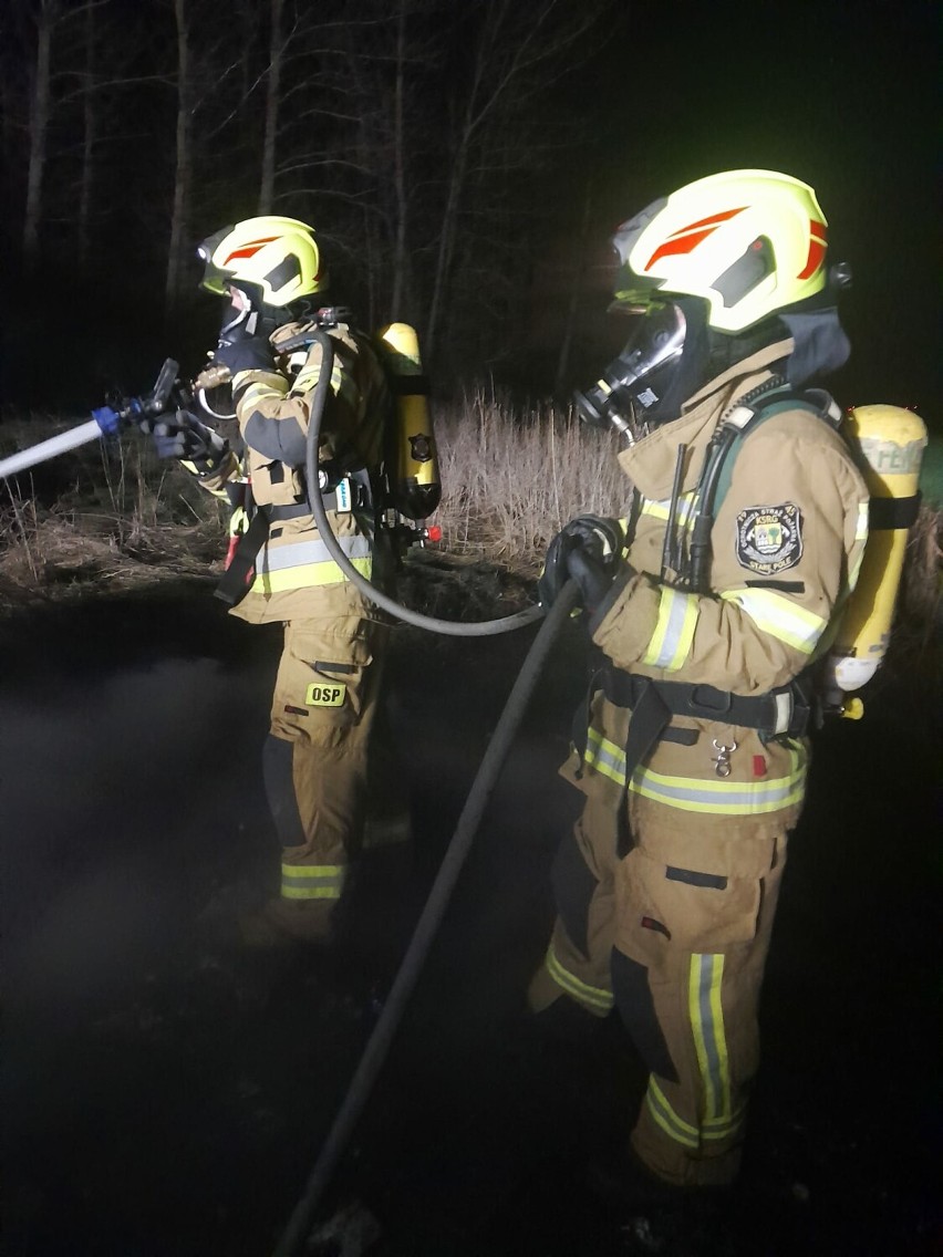 Pożary pustostanów w Malborku i podpalenia traw w powiecie. Tygodniowy raport Komendy Powiatowej PSP