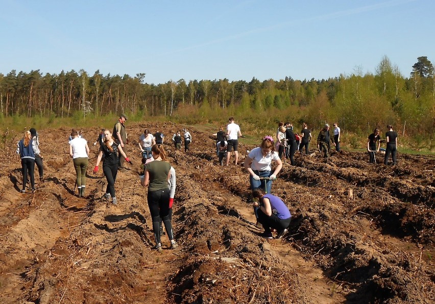 Zespół Szkół nr 1 w Szamotułach świętował Dzień Ziemi [ZDJĘCIA]