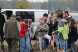 Zdeterminowani mieszkańcy po wielkiej tragedii dają nowe życie lasowi. W Nowym Mieście nad Wartą trwa akcja zalesiania "Gucia"