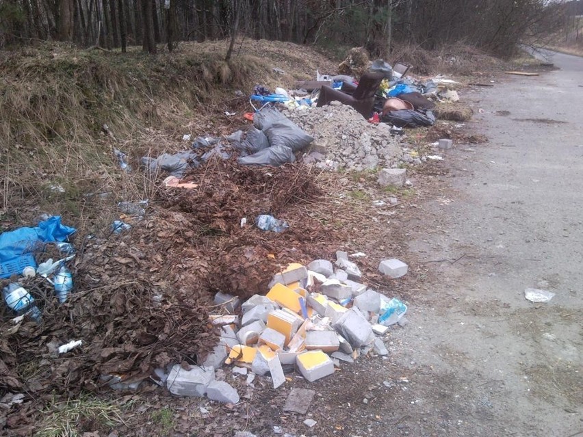 Życie po śmieciach: Śmieci w Brzęczkowicach