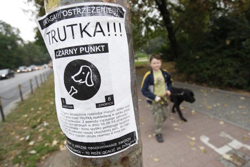 Truciciele psów w Warszawie atakują coraz częściej. W tych...