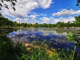 Zobaczcie, jaka piękna jest Kacza Górka w Nowej Soli. To pomysł na spacer w weekend