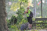 Burza w Poznaniu:Służby usuwają skutki sobotniej nawałnicy [ZDJĘCIA, WIDEO]