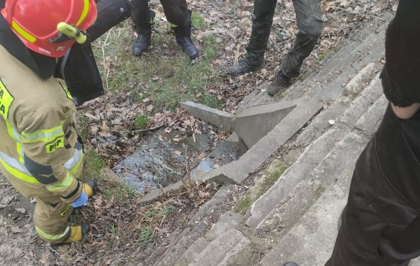 Nieznana substancja spływała do rzeki Warty w gminie Uniejów. Interwencja straży FOTO