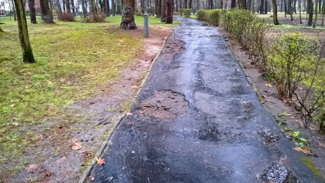 Zniszczona ścieżka w Parku Miejskim, gdzie wykruszyła się nawierzchnia asfaltowa i wymaga pilnej naprawy
