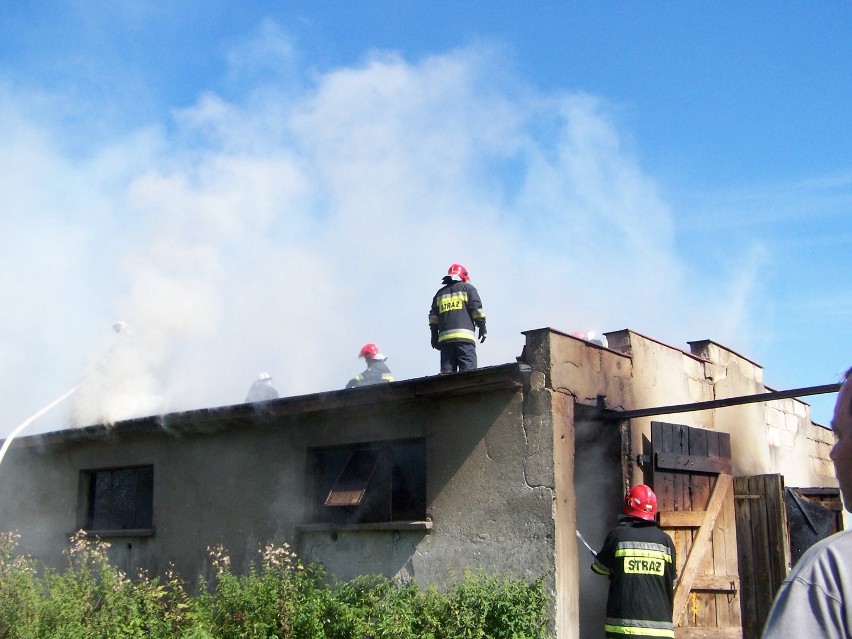 Mirachowo. Spłonęło 29 sztuk trzody