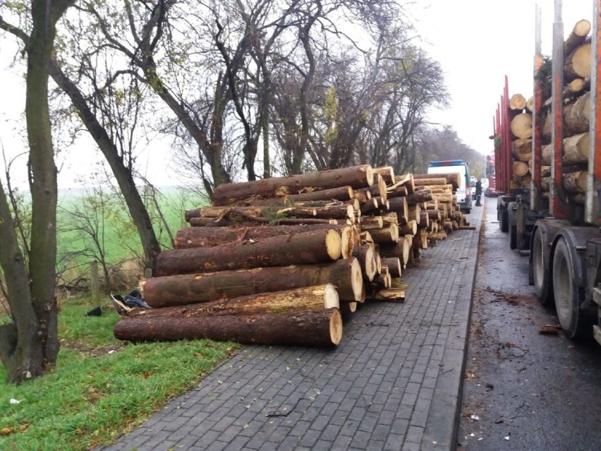 Wobec przewoźników wszczętych zostało 10 postępowań...