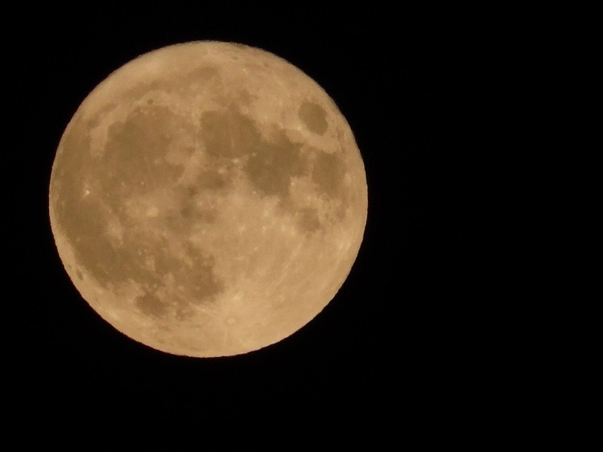 Superpełnia Księżyca. Tak wyglądała w Szczecinie [zdjęcia]