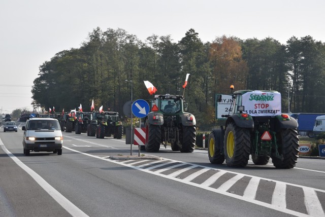 Na DK 94 w Ładnej wyjechało ok. 30 ciągników rolniczych