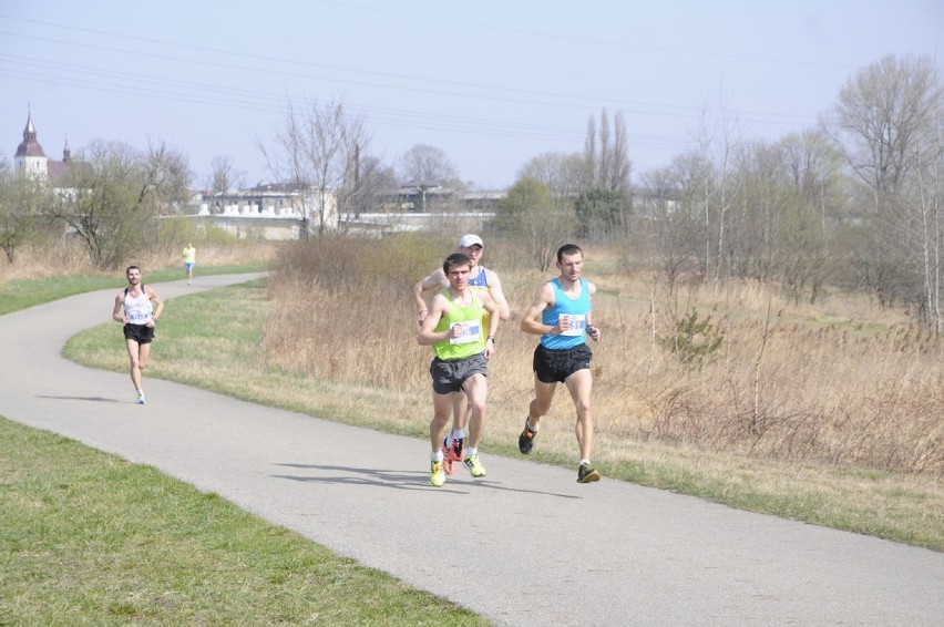 VII Półmaraton Dąbrowski zgromadził w tym roku rekordową...