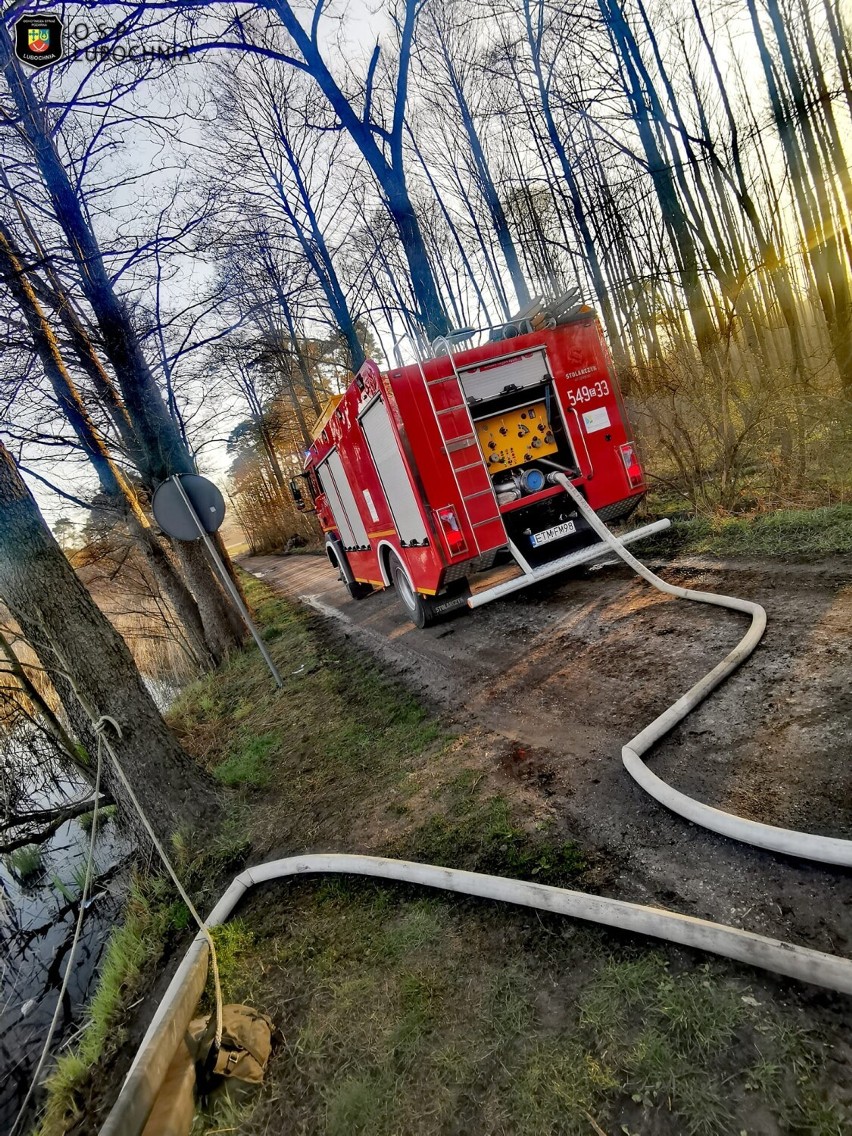 Niebezpieczny pożar sterty drewna w gminie Lubochnia. Strażacy zużyli ponad 40 tys. litrów wody [ZDJĘCIA]
