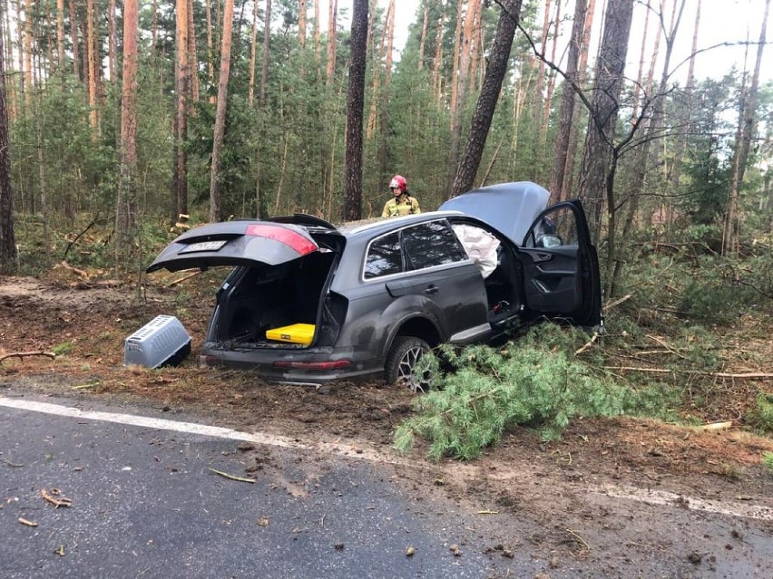 Koło Polkowic kierowca kradzionym audi śmiertelnie potrącił pracownika służby drogowej. Sprawca porzucił auto i uciekł w las