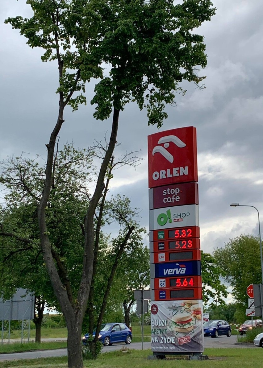 WRZEŚNIA: Ceny paliw w naszym mieście. Gdzie na stację?
