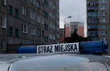 Gdańsk: Oszust podał się za strażnika miejskiego. Próbował ukarać mandatem kobietę