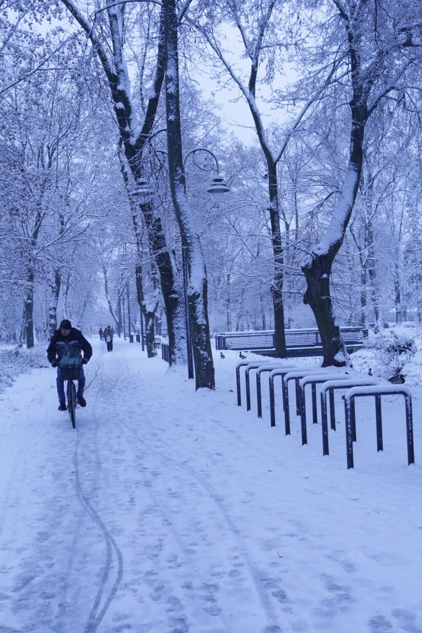 Zima 2022 w Radomsku na Parku Świętojańskim i na ulicach miasta. Pięknie w parku, ślisko na drogach. Zdjęcia