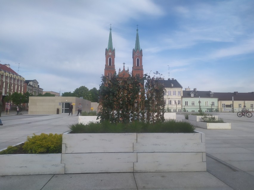 Kontrowersyjny wpis prezydent Łodzi. "Mieszkańcy Kutna zapewne zapamiętają słowa liderki PO"